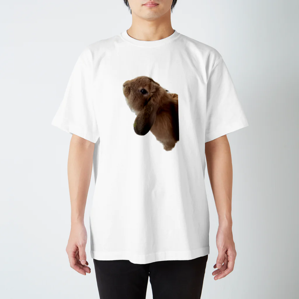 もふもふララちゃんのロップイヤーララちゃん Regular Fit T-Shirt