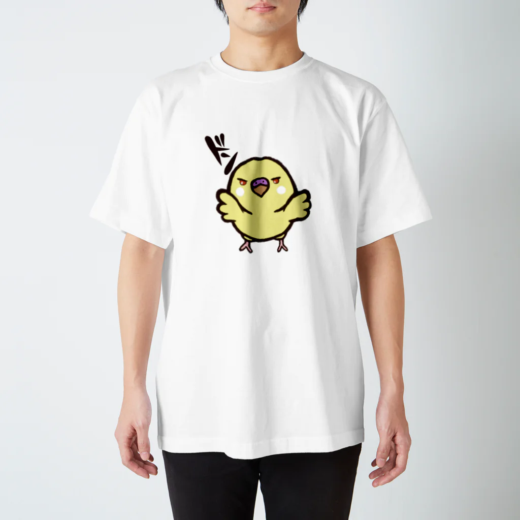 いちたまや  出張店の壁ドンインコ（ルチノー） スタンダードTシャツ