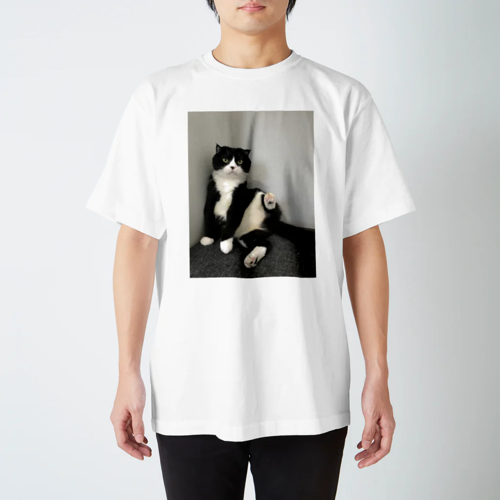 ネコまにあ 【12匹の猫➕うずら】のまめパパポーズ スタンダードTシャツ