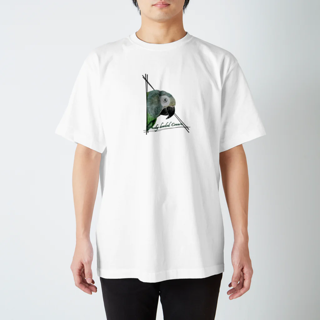 mariechan_koboの032 シモフリインコ triangle スタンダードTシャツ