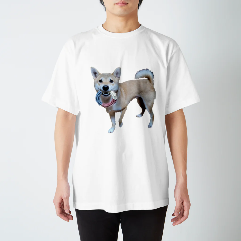 カスミ草の一緒にあそぼ？柴犬 Regular Fit T-Shirt