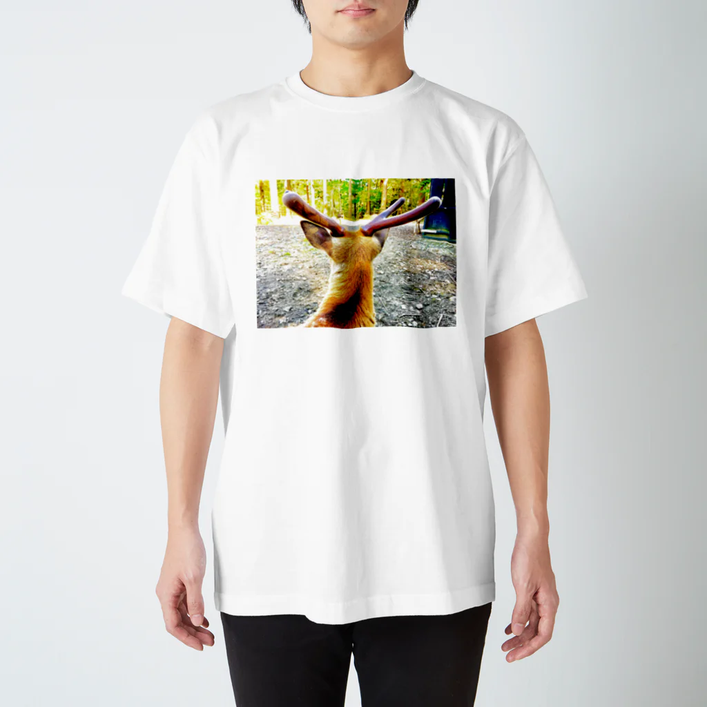 おとうふの鹿様 Regular Fit T-Shirt