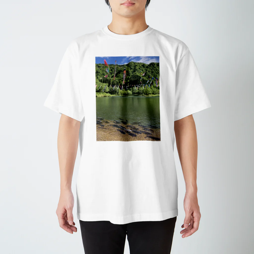 おとうふの上の鯉下の鯉 Regular Fit T-Shirt