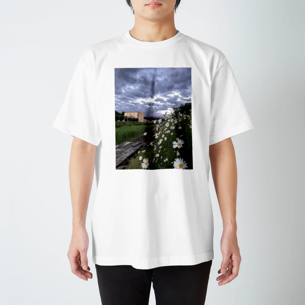 おとうふのお花と曇り空 Regular Fit T-Shirt