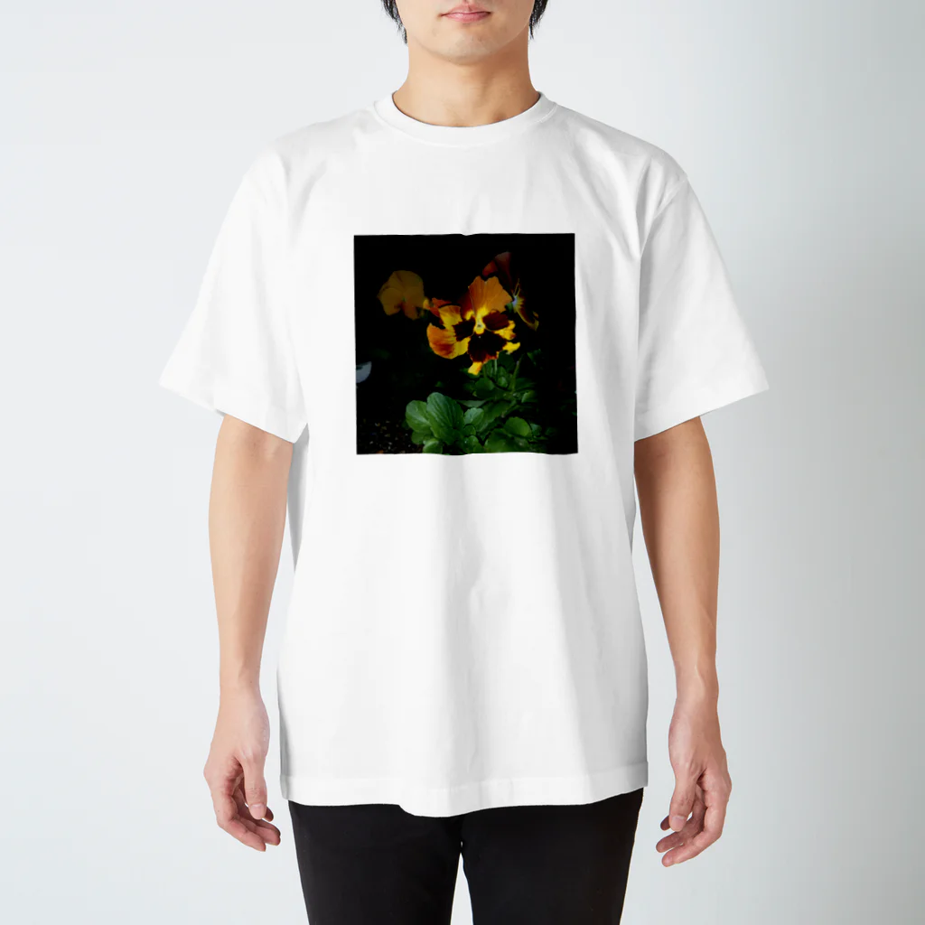 おとうふの虫喰い Regular Fit T-Shirt