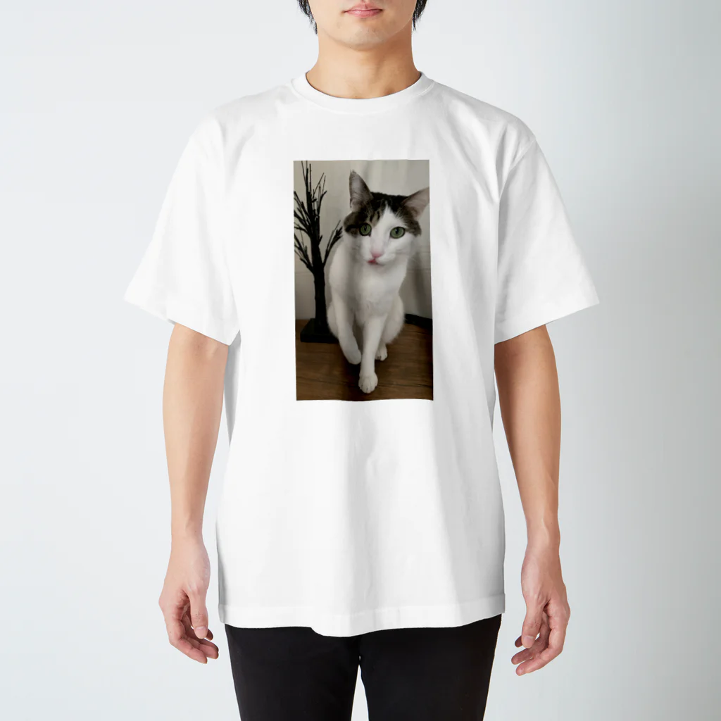 飴色の猫の紋さん(ペロリ) スタンダードTシャツ