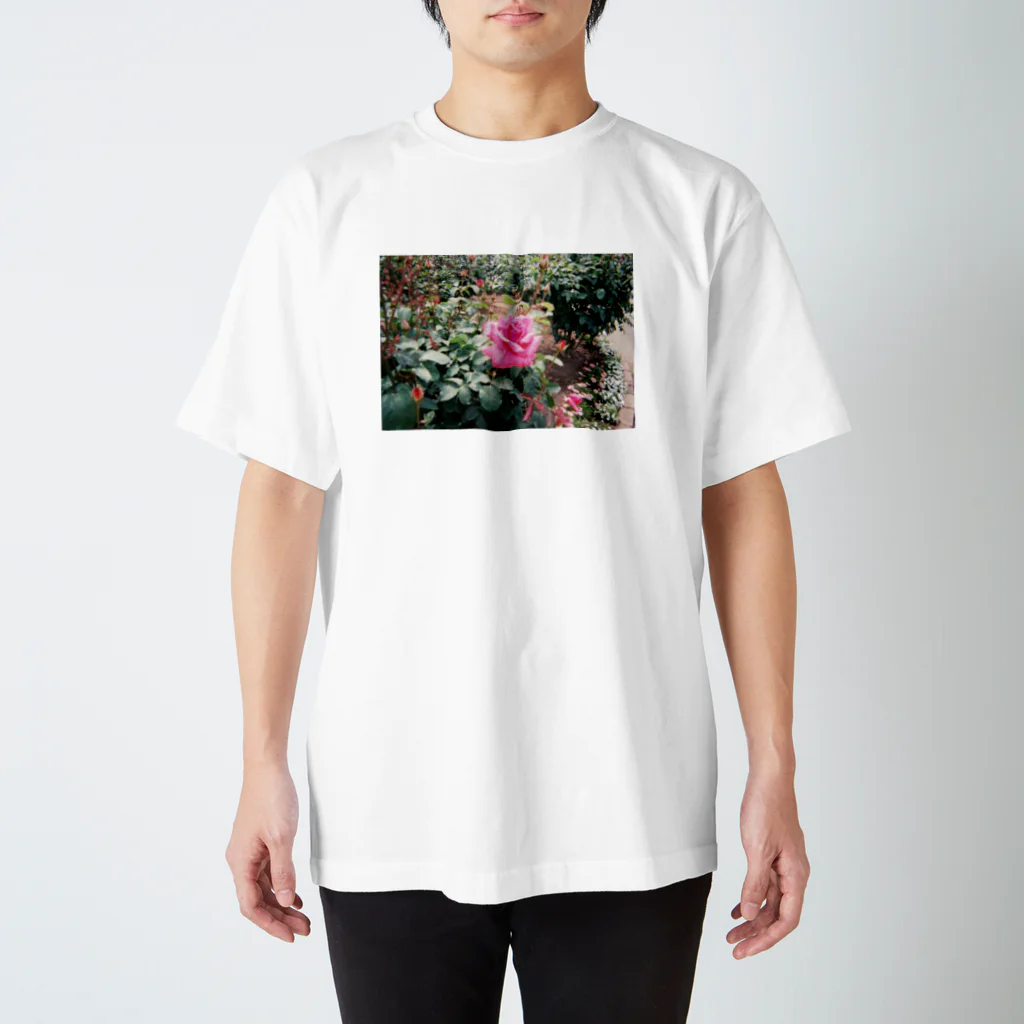 ピノ pino 피노のPink Rose Film Regular Fit T-Shirt