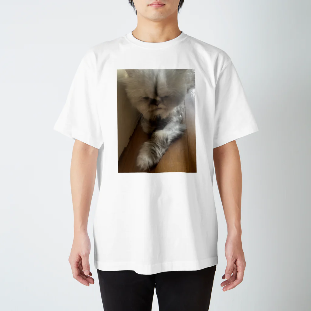 はなもうぽすぽすのリラックスはなもう Regular Fit T-Shirt