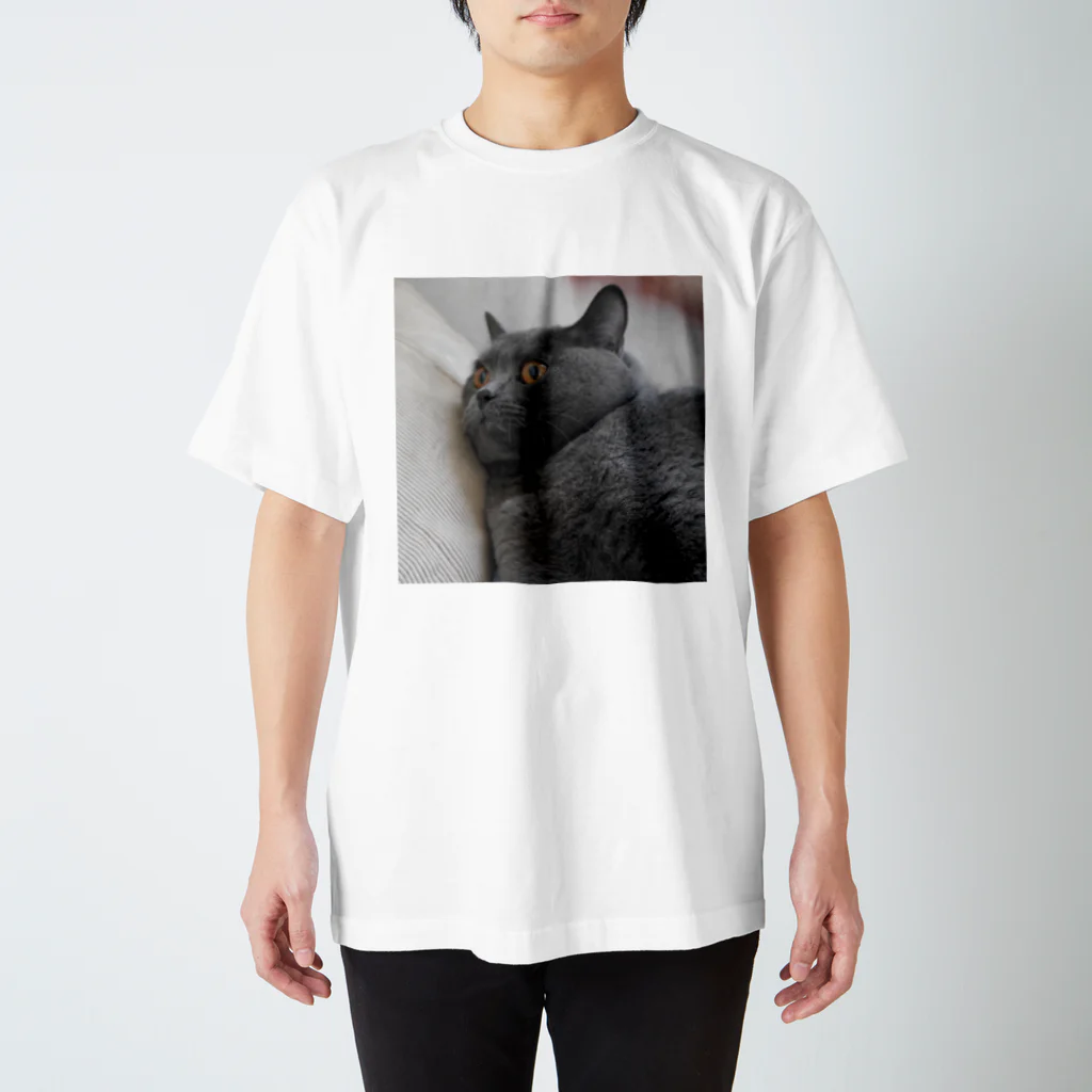 恥部ちゃんの団子の猫2 Regular Fit T-Shirt