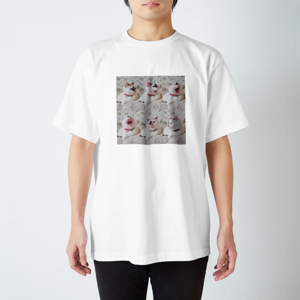 nmsgの移ろいゆくねこのおかお Regular Fit T-Shirt