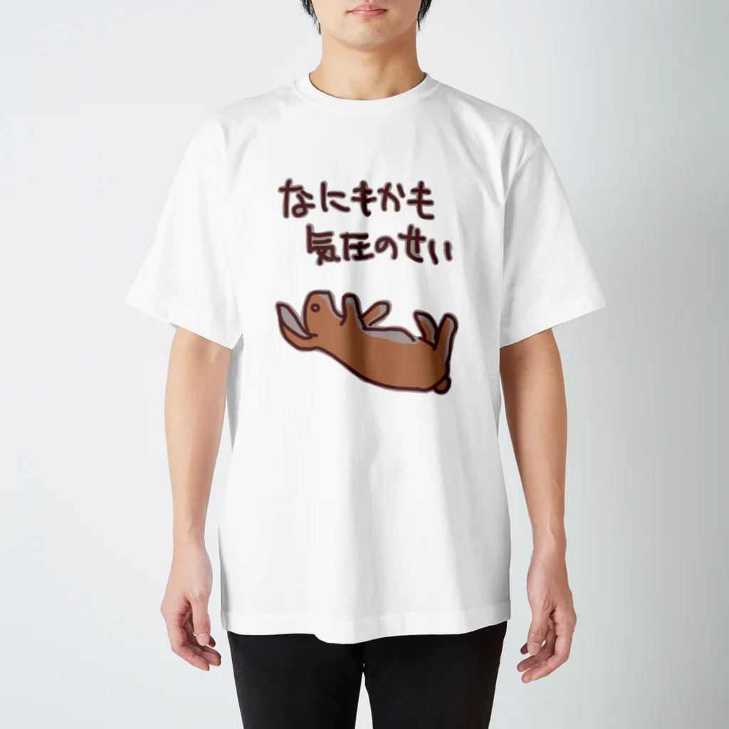 ミナミコアリクイ【のの】のなにもかも気圧のせい【うさぎ】 スタンダードTシャツ