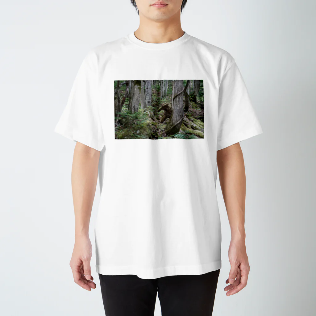 potekotamnのフェイクくま Regular Fit T-Shirt