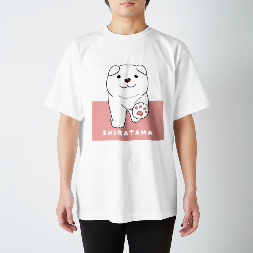 カラーゲンのお店のしらたま　２　ピンク スタンダードTシャツ