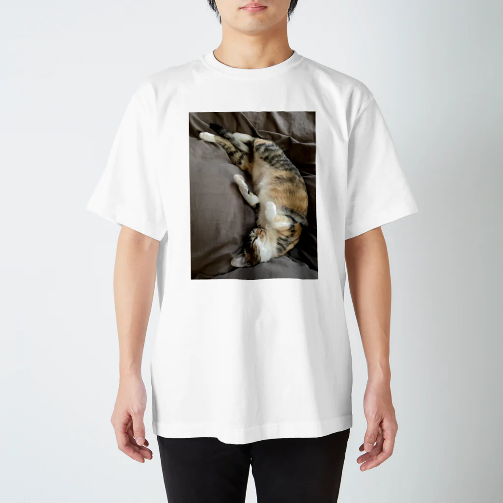 みたらししょっぷのみたらしみーちゃん Regular Fit T-Shirt