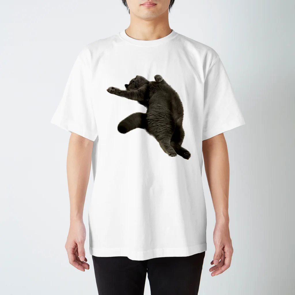 むっちり猫のむっちり丸のお腹ぽっこりむっちり丸 スタンダードTシャツ