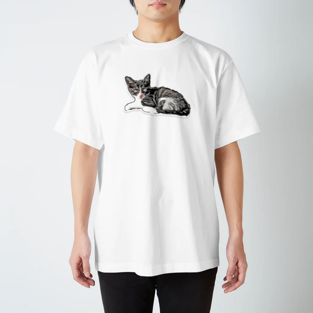 cuchito cuchitoの白にピンク鼻のサバシロ子猫 Regular Fit T-Shirt