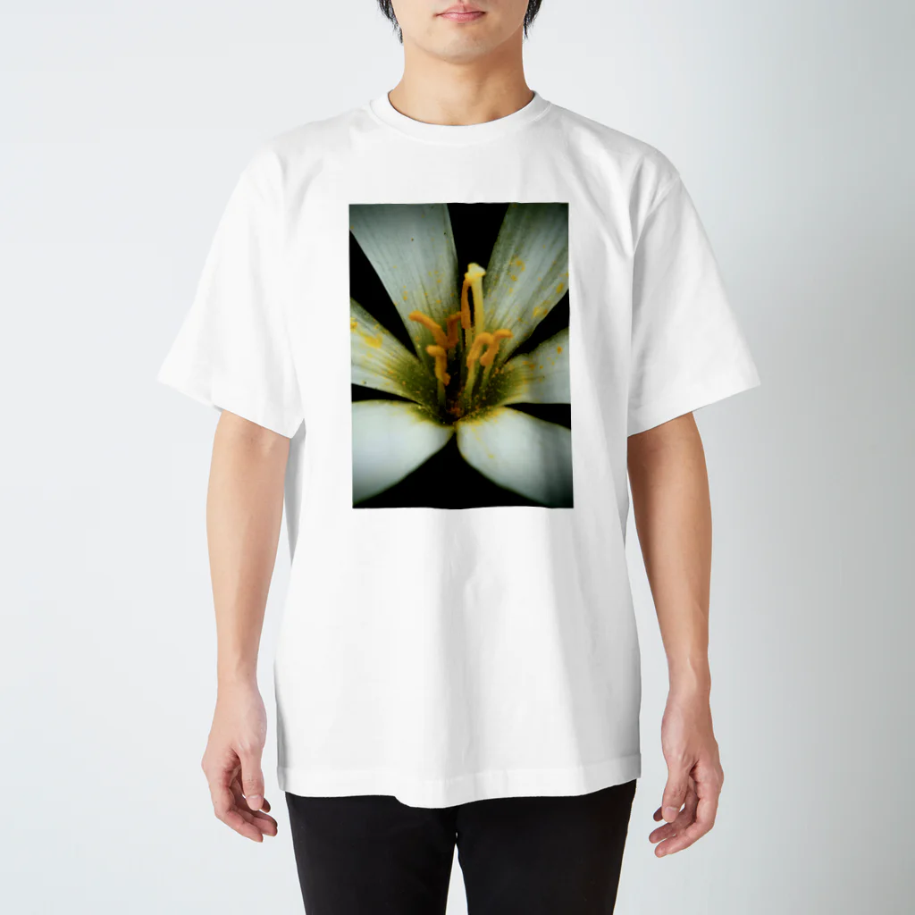 Tシャツ&雑貨の花弁(White) Regular Fit T-Shirt