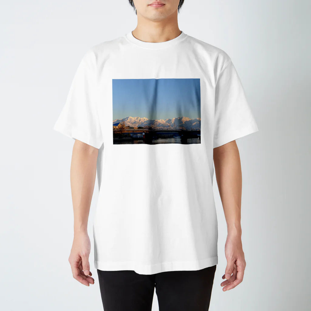 ヨシヨシの輝ける景色 スタンダードTシャツ