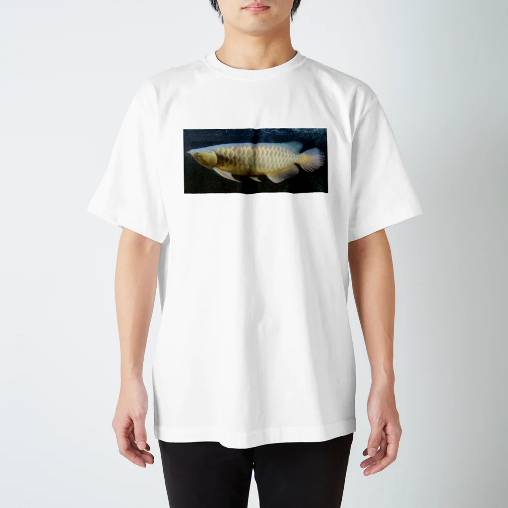 KazFishの過背金龍 Regular Fit T-Shirt