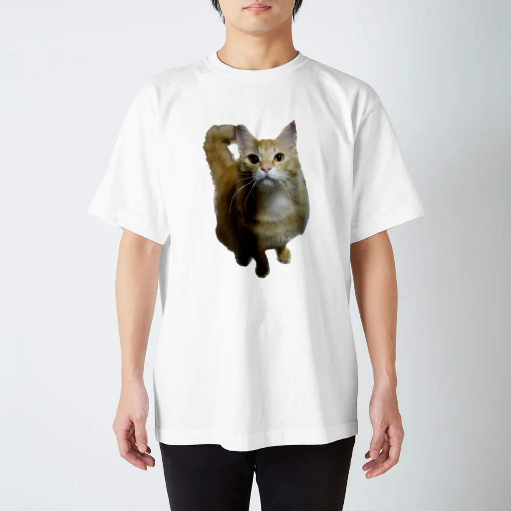 トロールショップの我が家のお猫様が見てます(笑) Regular Fit T-Shirt