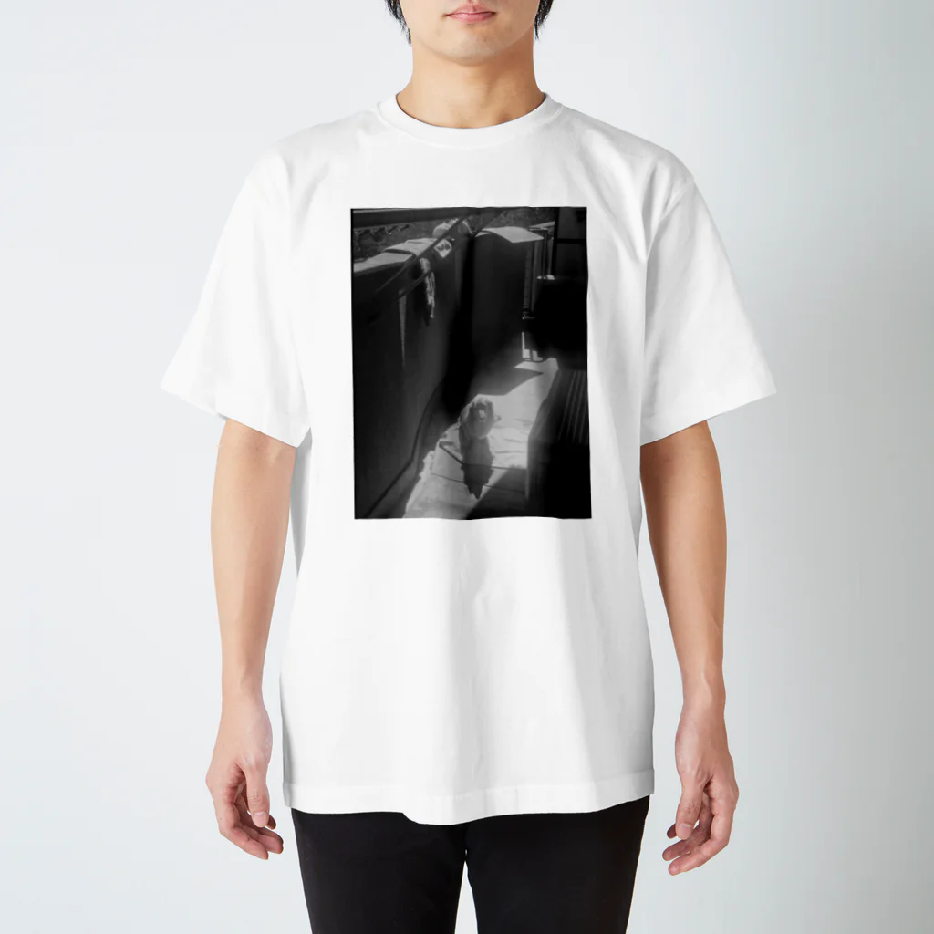 osayuのうちの犬 Regular Fit T-Shirt