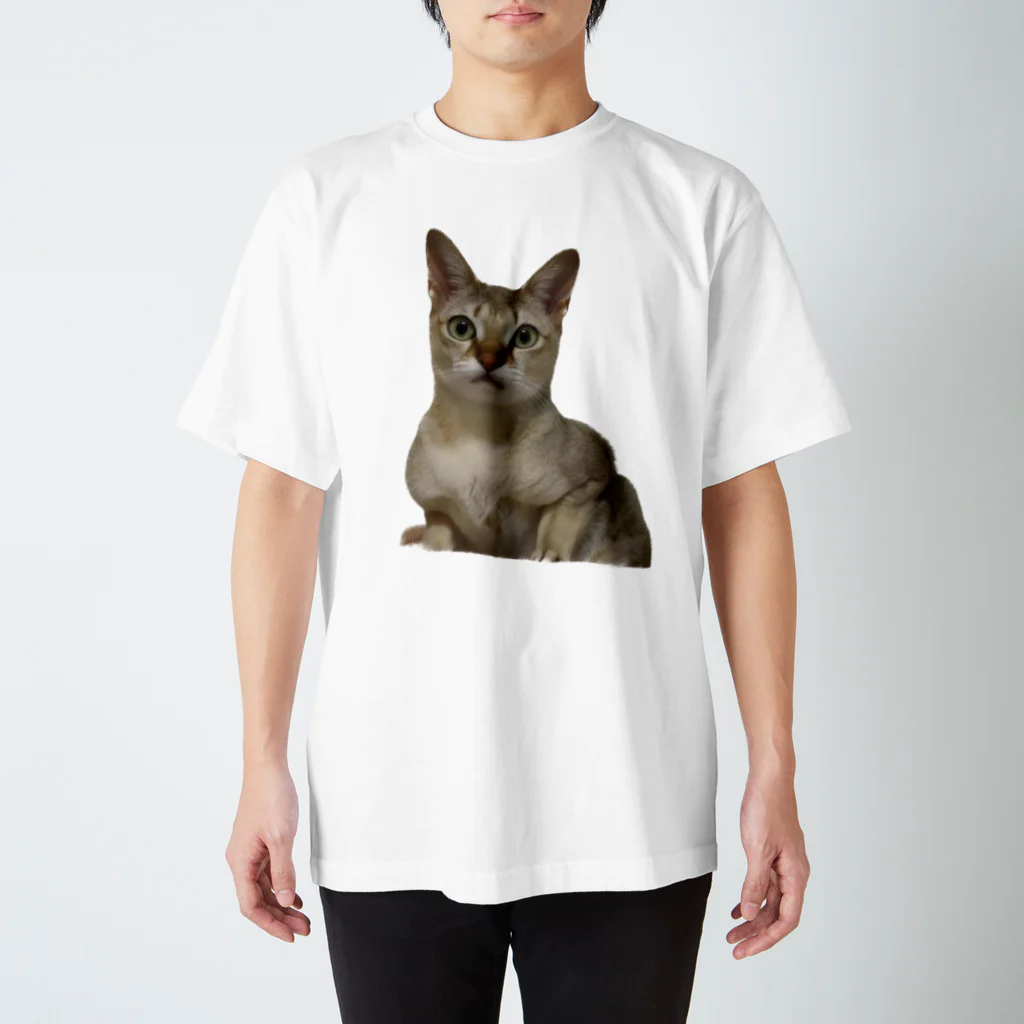 無気力ネコチャンのnyan スタンダードTシャツ