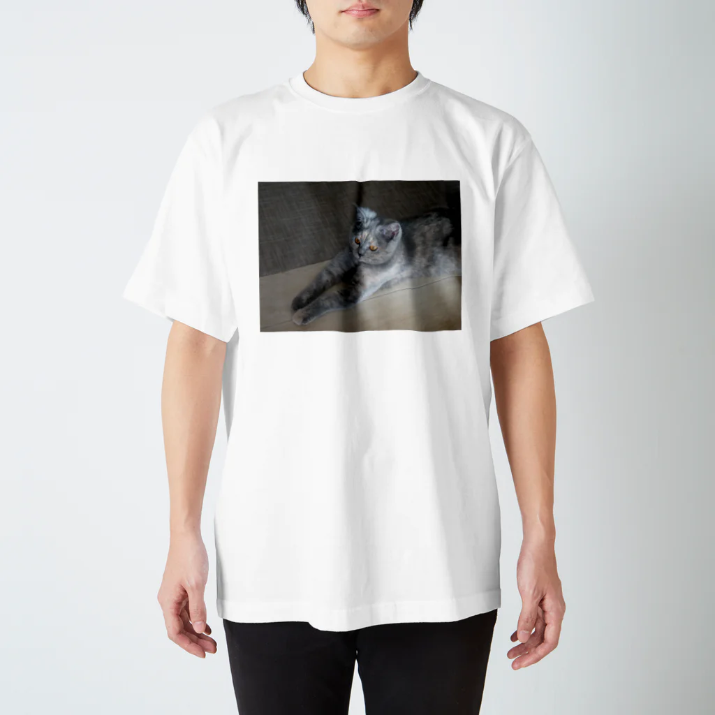 komachi_caaatのこまちグッズ Regular Fit T-Shirt