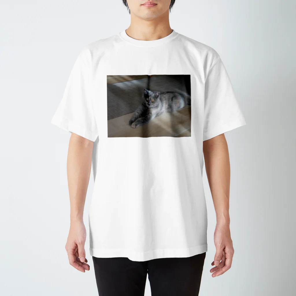 komachi_caaatのこまち Regular Fit T-Shirt
