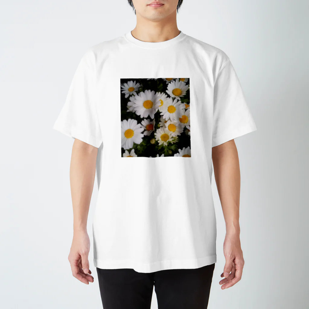 ハルノコのノースポール Regular Fit T-Shirt