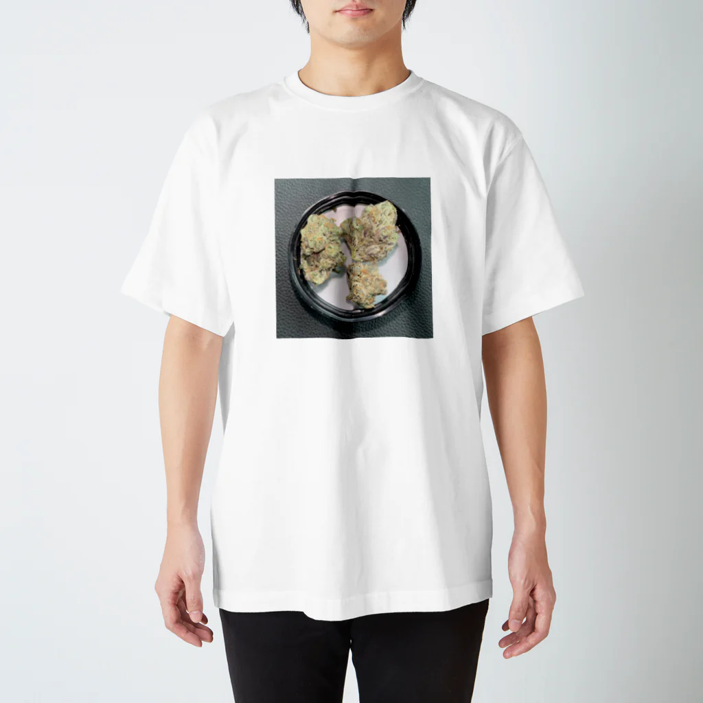 peace_のこーしゃ Regular Fit T-Shirt