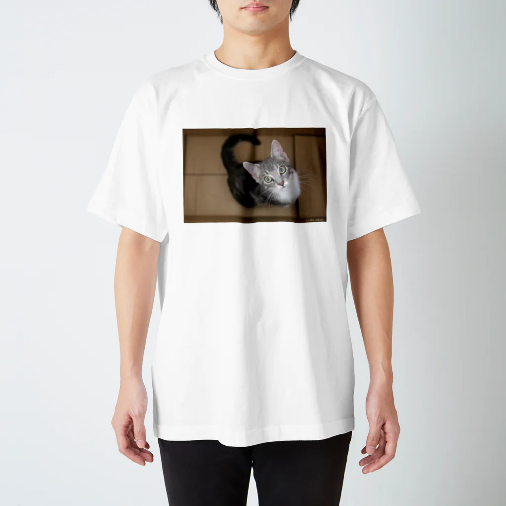 Aiko Nakanoのcat_20180603_3687' スタンダードTシャツ