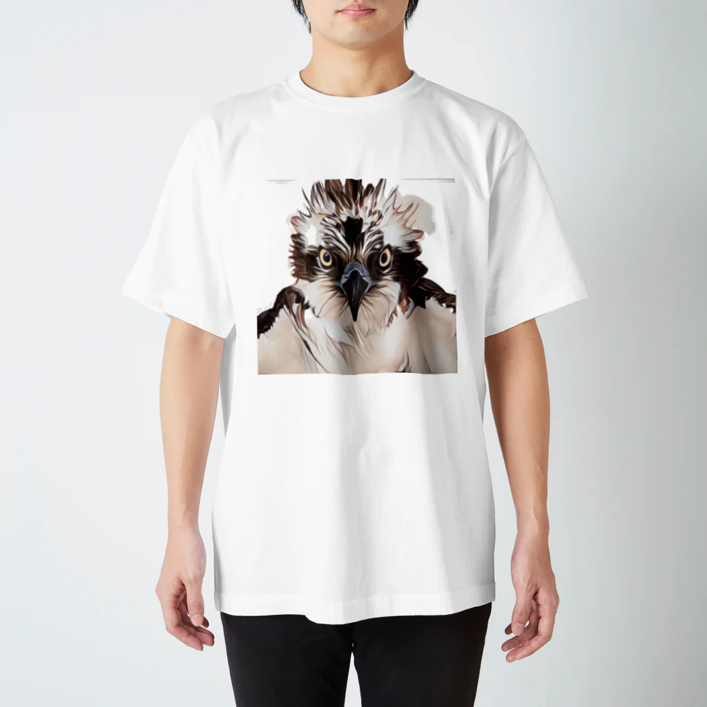 Little_Huge_Wild_Animalsのミサゴ正面画白 スタンダードTシャツ