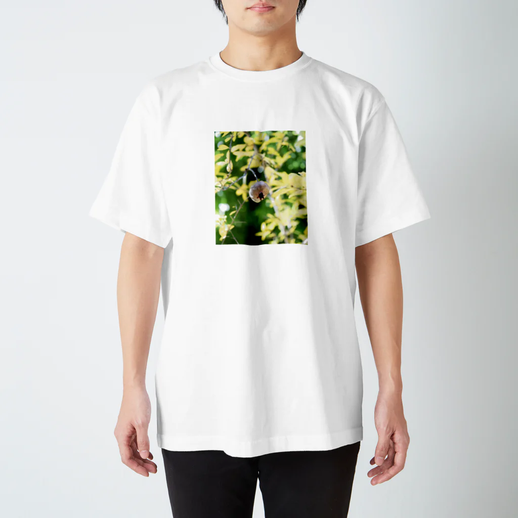  Yukari Takano 's  Photogoodsの小さな宝物〜ザクロ〜 Regular Fit T-Shirt