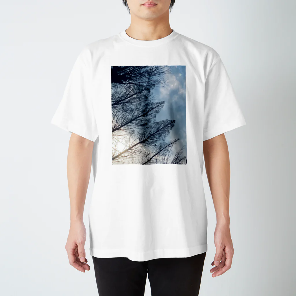 KaBuKi-mono.の［KaBuKi-mono］オリジナルスマホケース（風景画） スタンダードTシャツ