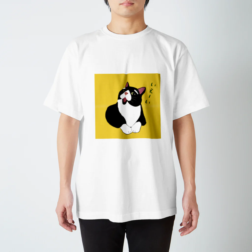 穏やかな猫の穏やかな猫 Regular Fit T-Shirt
