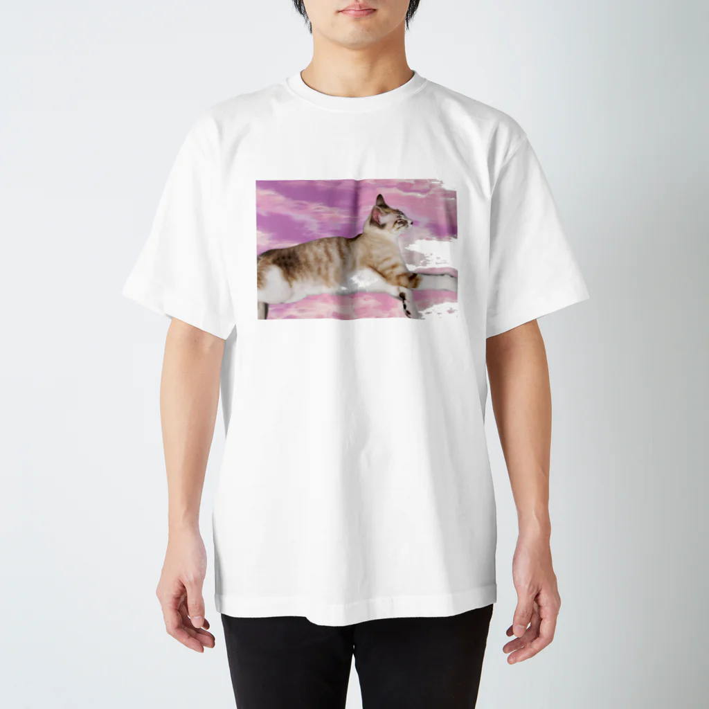 Stemの  ねこ Regular Fit T-Shirt