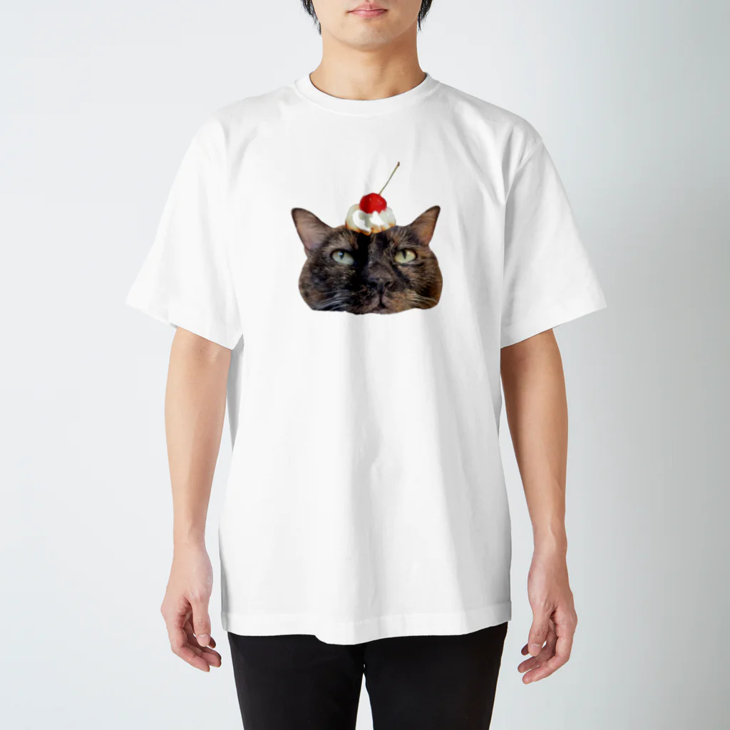 shop さびにすとのサビ猫ここあ Regular Fit T-Shirt