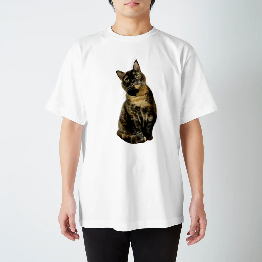 shop さびにすとのサビ猫ここあ(全身) Regular Fit T-Shirt