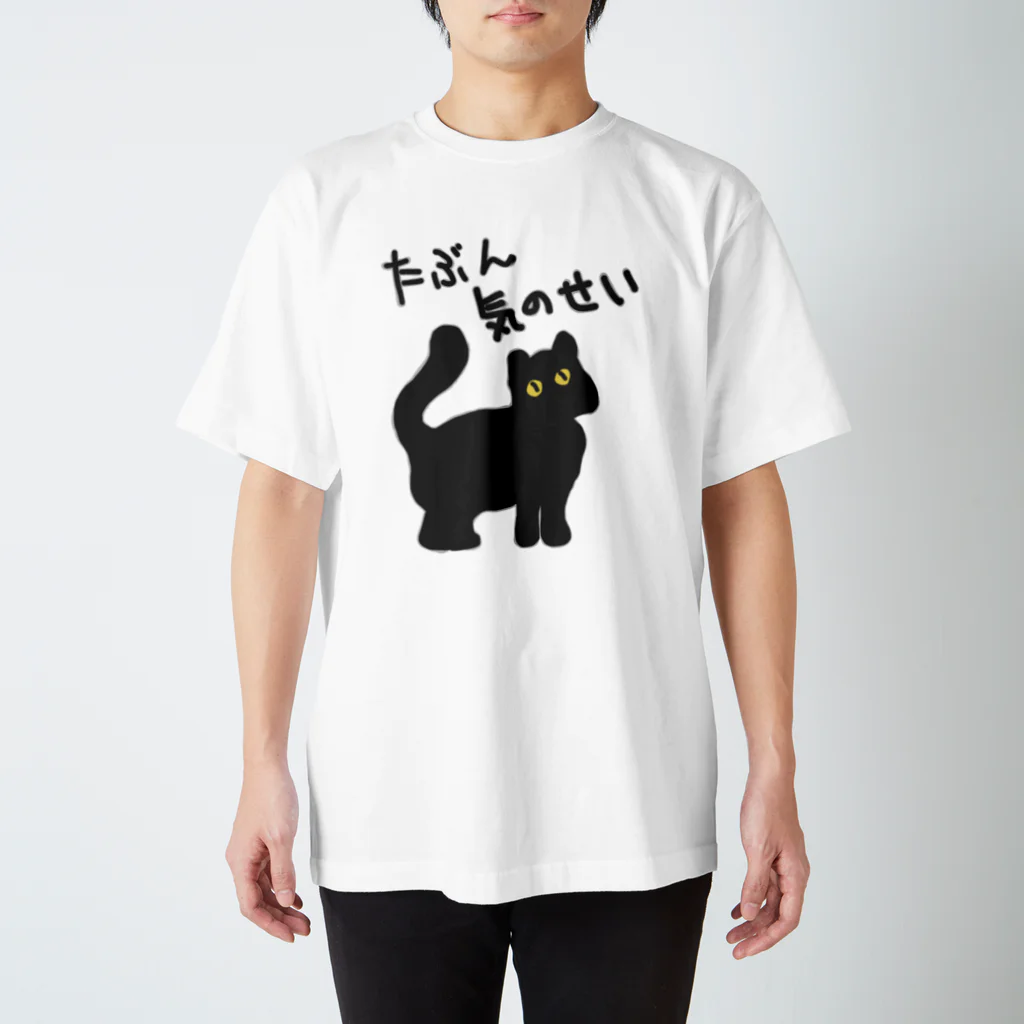 ミナミコアリクイ【のの】のたぶん気のせい【黒猫】 スタンダードTシャツ