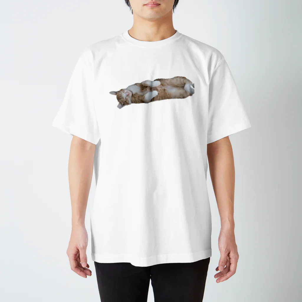 日常の写真。のうちの猫（うに） Regular Fit T-Shirt