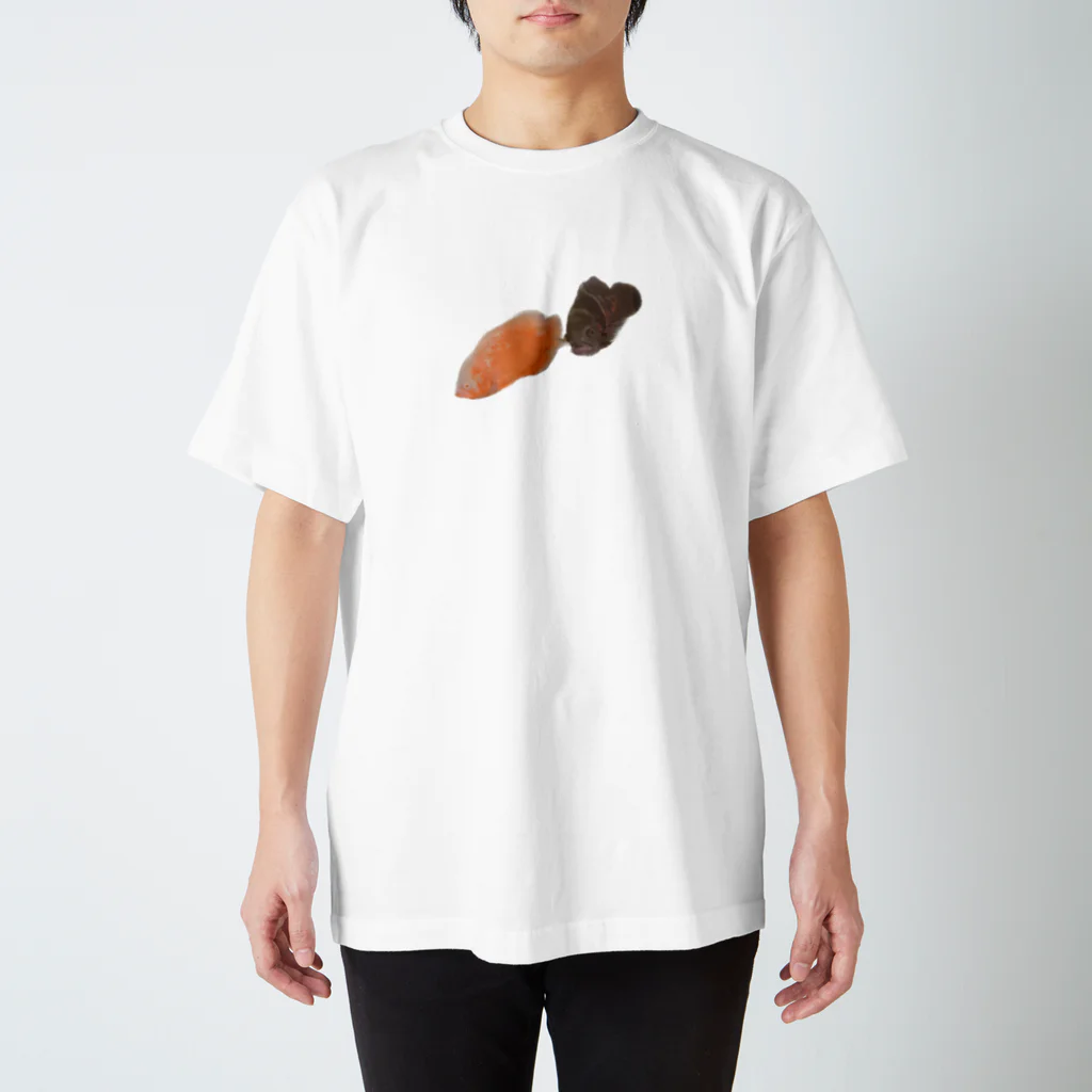 道産子あんぐらーのうちのおさかな スタンダードTシャツ