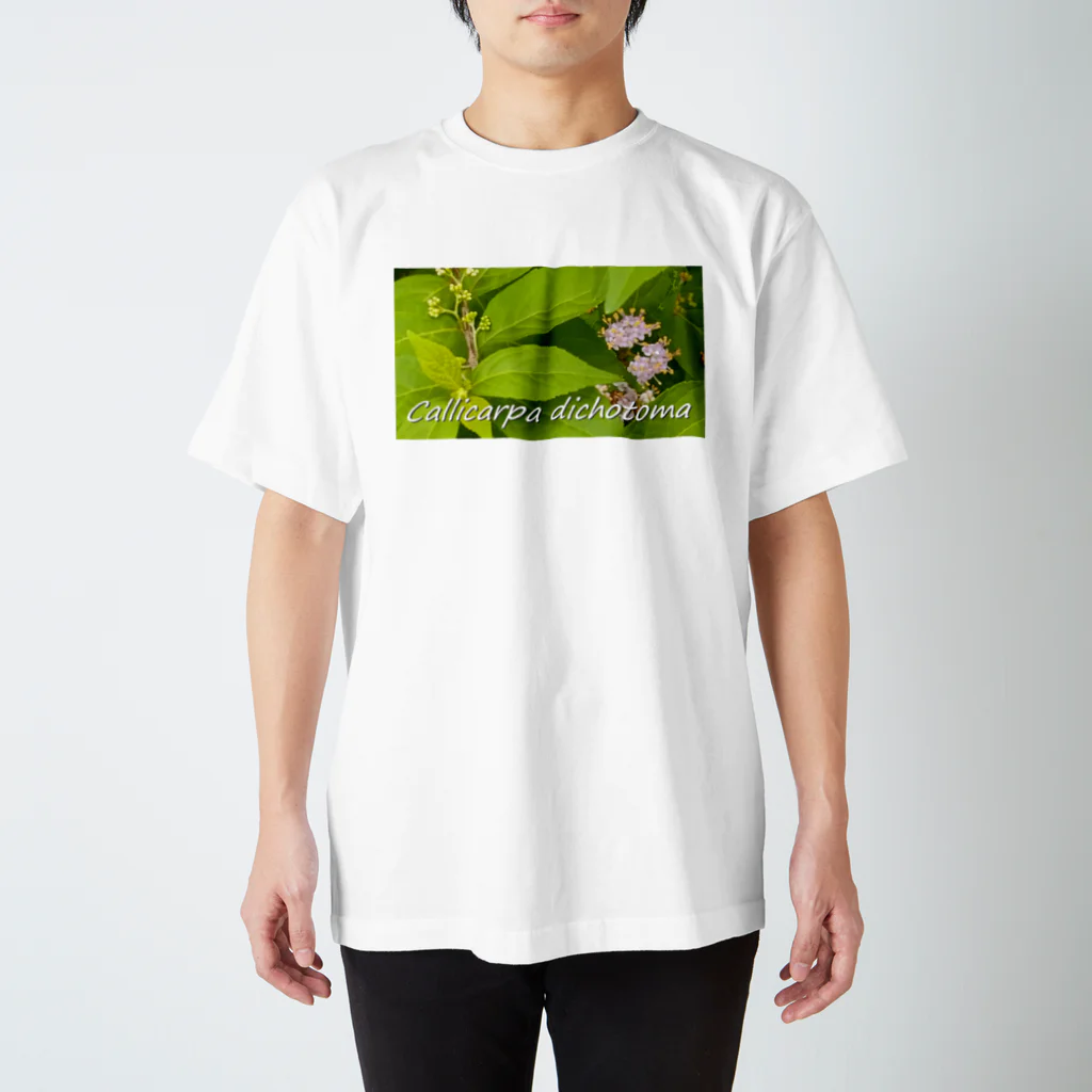  #satisfyingのコムラサキ　Callicarpa dichotoma スタンダードTシャツ