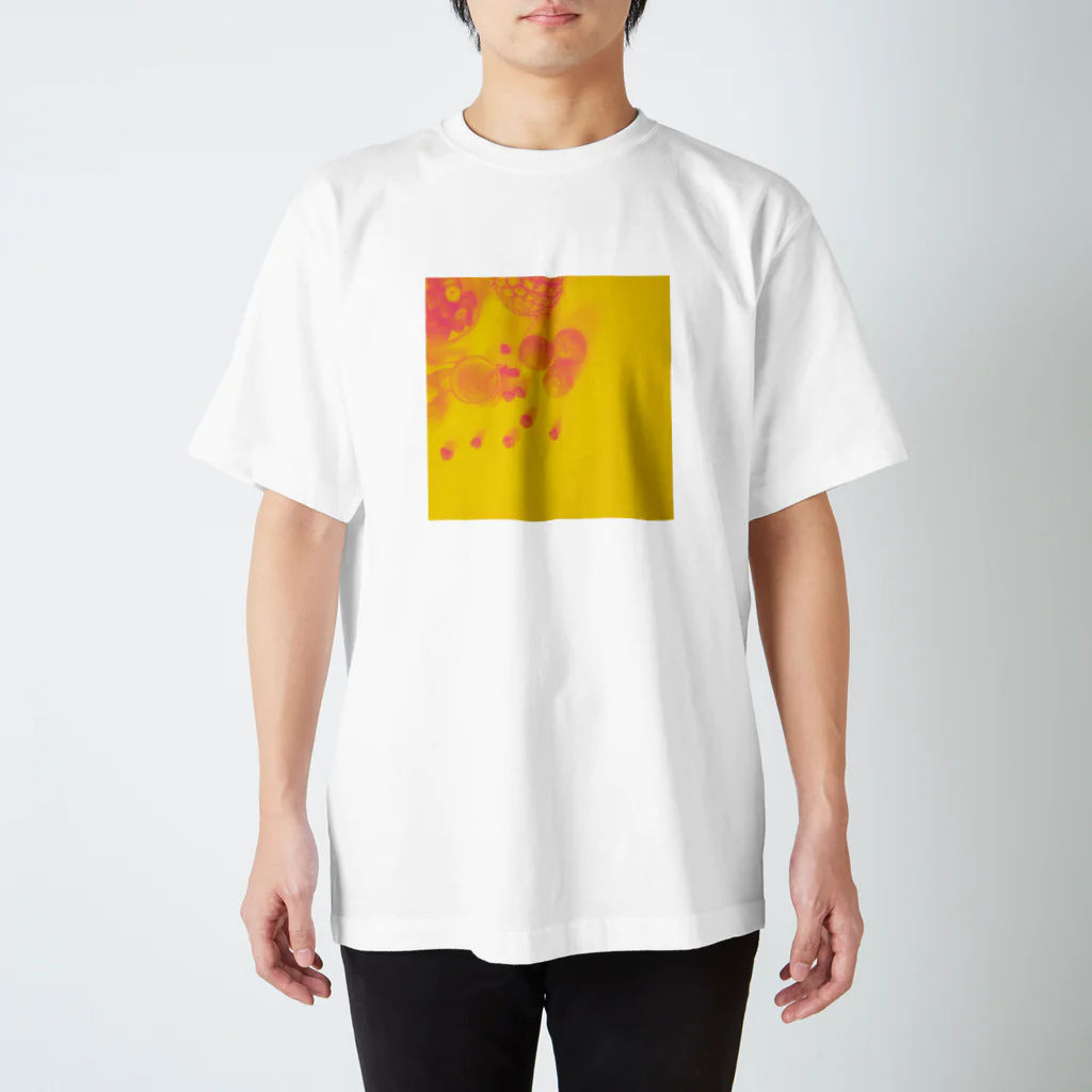 panmaru555のビタミンカラー Regular Fit T-Shirt