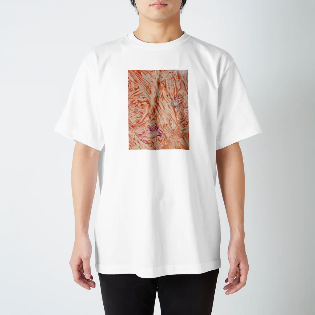 キモグラフィック屋さん － Unconscious Art －の子宮内膜Ａ Regular Fit T-Shirt