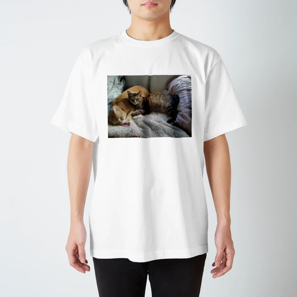 ラスベガスマーケットの仲良しねこねこ スタンダードTシャツ