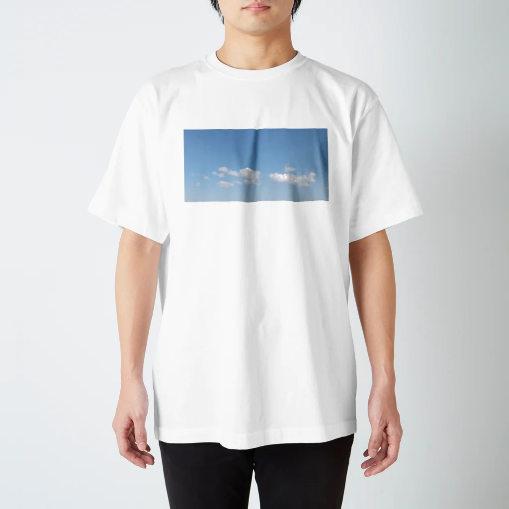 nikarasの春色の空 Regular Fit T-Shirt