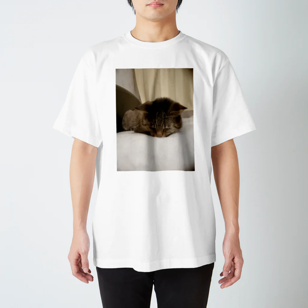 工房かみりゅんの家の猫　茶虎 Regular Fit T-Shirt