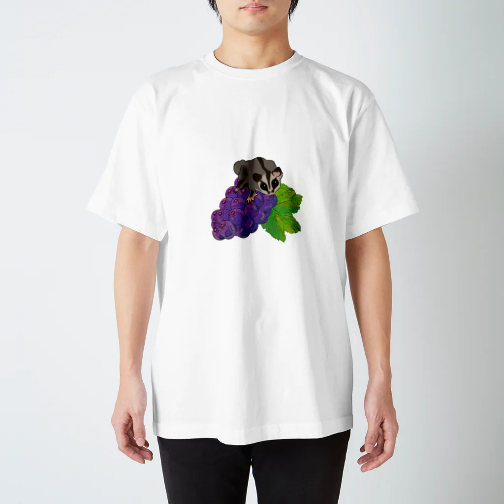 モモンガのしっぽのSugar glider is on grapes! スタンダードTシャツ