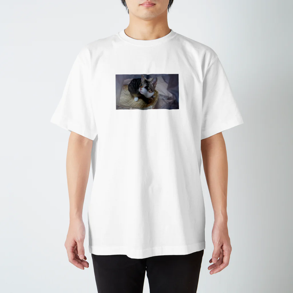 いわたみーと😿現在お昼寝中のアイドルにごたん Regular Fit T-Shirt