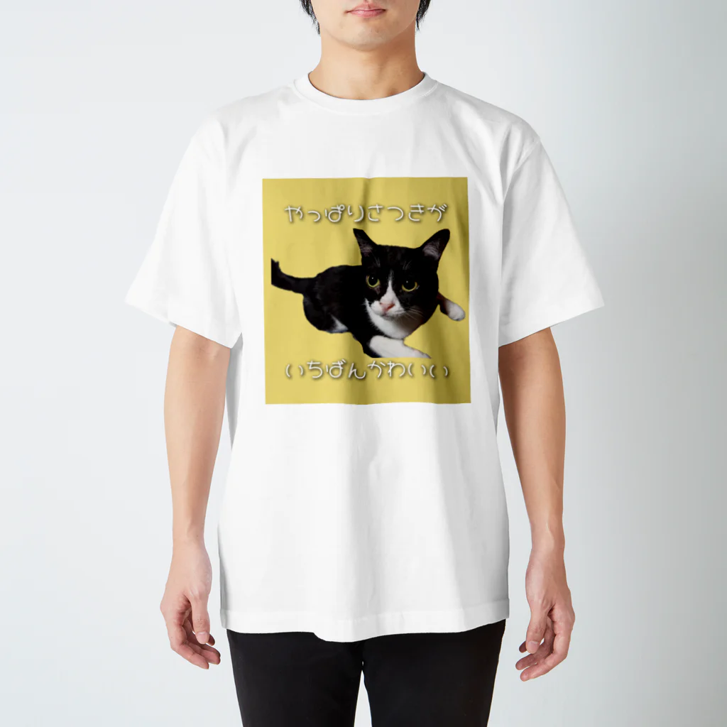 いわたみーと😿現在お昼寝中のやっぱりさつきがいちばんかわいい スタンダードTシャツ